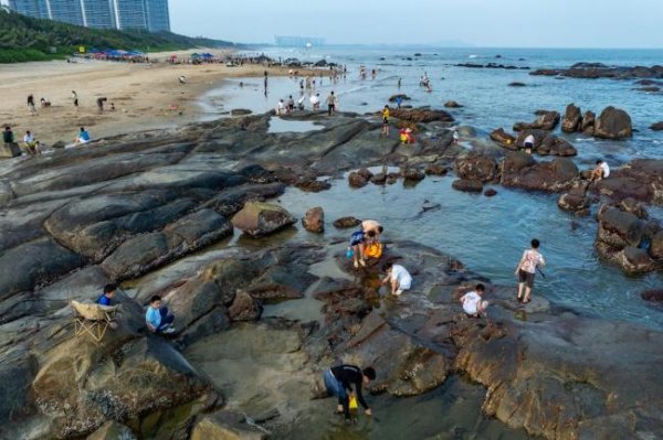 配资炒股中国股票配资网 韦帕过境广东一海滩遍地海鲜 大自然的“海鲜盛宴”引发赶海热潮